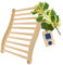 HOFMEISTER® Support Dorsal Ergonomique en Bois pour bancs de Sauna - Assise Confortable et Plaisir du Sauna - Accessoire idéal pour Le Sauna