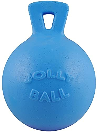 Jolly Pets Tug-n-Toss Heavy Duty Dog Toy Ball with Handle, 8 Inches/Large, Blueberry