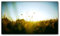 120x70cm Nature grün blau Leinwandbild fertig auf Keilrahmen, tolle Optik - Deutsche Qualität - moderne stilvolle Dekobilder und Designs für Ihr Wohnzimmer, Schlafzimmer Büro usw. ideal auch als Geschenk zu Geburtstag, Ostern, Weihnachten, Hochzeiten etc. - günstig und werthaltig zugleich - Bilder zum Träumen
