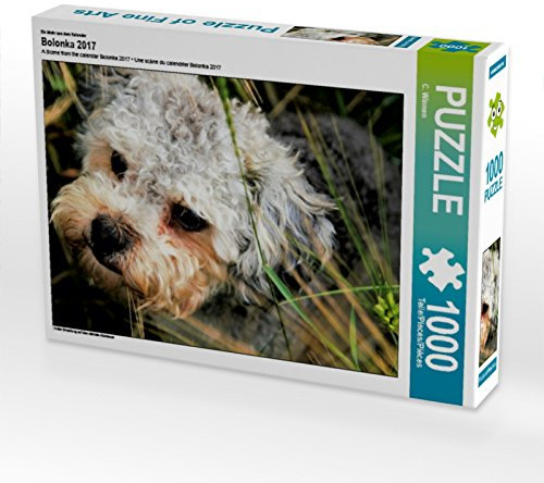 CALVENDO Puzzle EIN Motiv aus dem Kalender Bolonka 2017 1000 Teile Puzzle quer | 1000 Teile Lege-Größe 64 x 48 cm Foto-Puzzle für glückliche Stunden