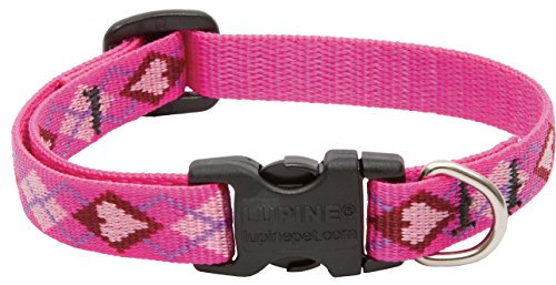 Lupine Puppy Love Hundehalsband für kleine Hunde, Gemustert, verstellbar, 1,27 cm / 25,4-40,6 cm