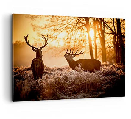 Wandbilder Dekoration Wohnzimmer Deer Heidekraut Tier Bilder auf Leinwand 120x80cm Leinwandbild Schlafzimmer Küche Deko Wand Kunstdruck Art Groß XXL Wanddeko Bild Wall Decor Canvas AA120x80-3043