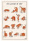 Bedrucktes Geschirrtuch Journée de chat Écru 48 X 72 ekrü 48 x 72 cm Winkler