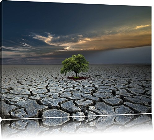 Der letzte Baum im ausgetrockneten Boden Format: 120x80 auf Leinwand, XXL riesige Bilder fertig gerahmt mit Keilrahmen, Kunstdruck auf Wandbild mit Rahmen, günstiger als Gemälde oder Ölbild, kein Poster oder Plakat