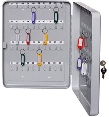 ALCO-Albert - Schlüsselkassette für 20 Schlüssel 20 x 16 x 8 cm | Schlüsselkasten aus Stahl in lichtgrau mit nummerierten Hakenleisten, Zylinderschloss und 2 Schlüsseln