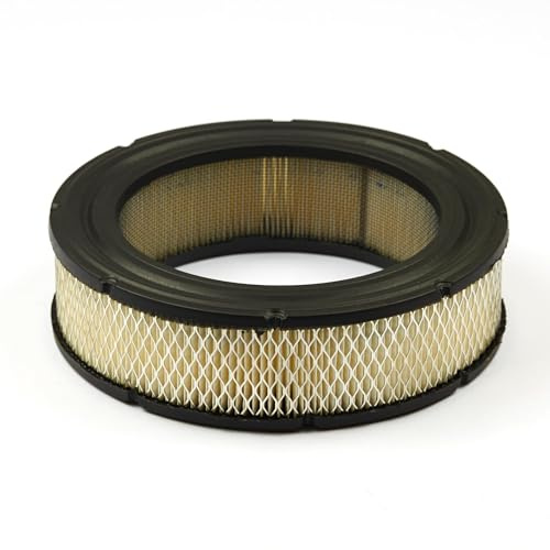 Briggs and Stratton Genuine 692519 Air Filter Cartridge