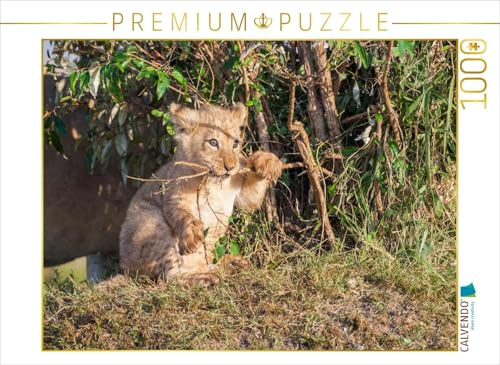 CALVENDO Puzzle Juni | 1000 Teile Lege-Größe 64 x 48 cm Foto-Puzzle für glückliche Stunden