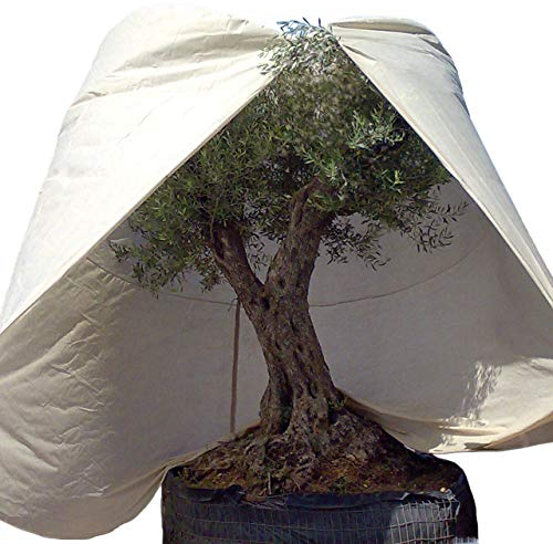 Unbekannt Winterschutzhaube MEDITERRAN XXL 350x250 cm - (28158)