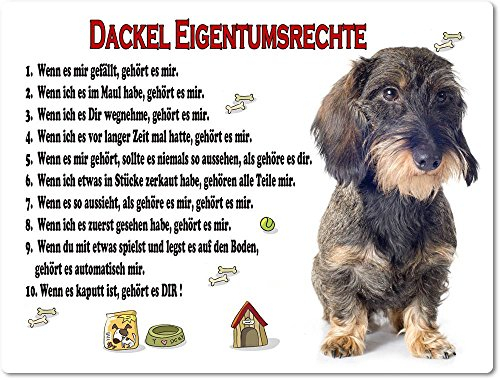 Merchandise for Fans Blechschild/Warnschild/Türschild - Aluminium - 20x30cm Eigentumsrechte Motiv: Dackel Rauhaardackel sitzend - 07