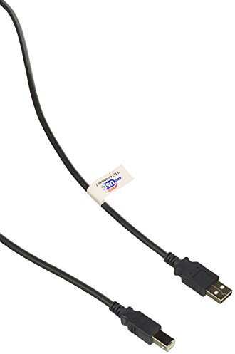 Epson Ceps-usbg câble, USB A vers B, 10 'Longueur, gris foncé