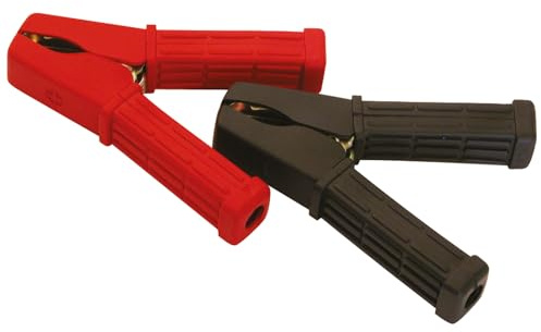 Carpoint Batterieklemme | Isoliert 100A | Set von 2 | Geeignet für Auto-, Motorrad- und Freizeitbatterien | Einfache Installation | Kompakt 11 cm