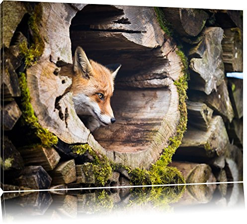Pixxprint Fuchs im Baumstamm, Größe: 60x40cm, Leinwandbild, fertig gespannt, Wandbild, Dekoration, Kunstdruck, kein Poster