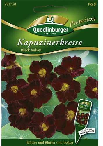 Kapuzinerkresse, Black Velvet