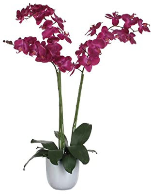 Mica VB 346956 nachtfalter orchidée 100 cm