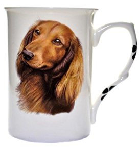 (BB27) Personalised with Any Name Bone China Beaker Mug Cup Dachshund Long Hair Single Cup Mug Beaker Pawprints- Hand Decorated- Personalised to Order-