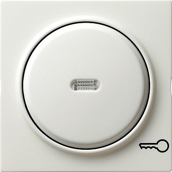 Gira 028740 Wippe Kontroll Symbol Schlüssel S, reinweiß