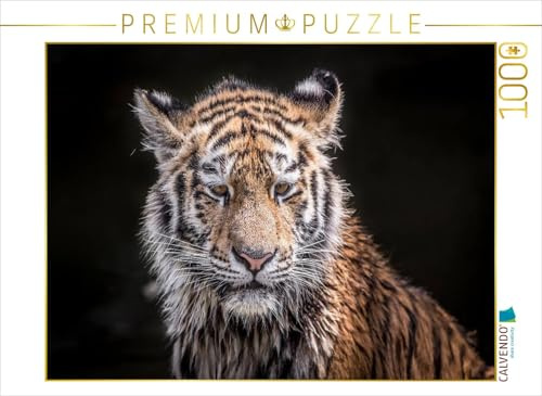 CALVENDO Puzzle EIN junger Tiger nach dem Wasserbad | 1000 Teile Lege-Größe 64 x 48 cm Foto-Puzzle für glückliche Stunden