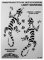 4R Quattroerre.it - 1115 - Adesivi Sticker Riflettenti Geco, 9 x 13 cm