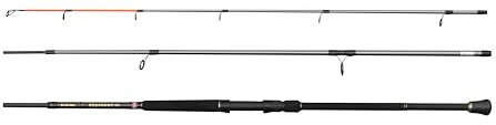 Penn Regiment IV Bass Spinnrute, Salzwasser Angler Angeln Seefisch Kabeljau, Aal, Barsch, Seelachs, Makrele, Hai, Starkes Leichtgewicht & Vielseitig, Silber, 3.00m schnelle beidhändige Rute