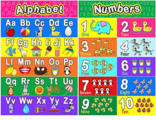 DIIOOMIEEU 2 Stück Poster Diagramm Zahlen Poster Pre K Lernposter für Kindergarten Wanddekoration laminiert 30 x 41 cm