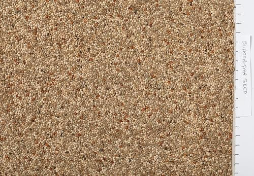 Johnston & Jeff Budgerigar Seed Bird Food 3kg