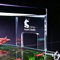 Chihiros LED WRGB-II Serie | EU-Version | Aquarium Beleuchtung (Acrylic Stand für WRGB-II)