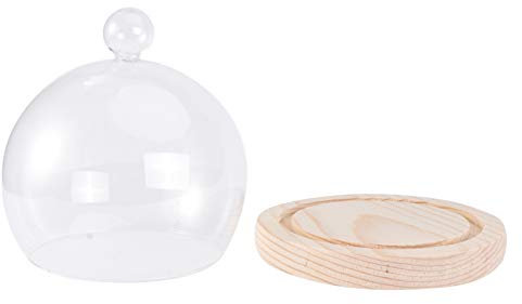 SOIMISS 1 Set Transparent Cloche Dome Keepsake Display Glass Globe Cloche with Round Handle Wood Base Anti Dust Micro Landscape Cover for Home Shop