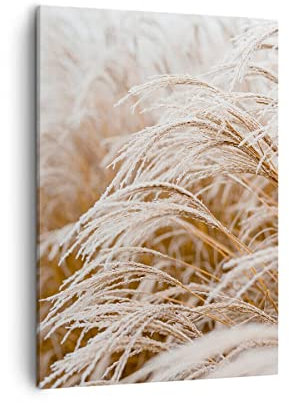 Bilder auf Leinwand Gras Natur Frost Leinwandbild mit Rahmen 50x70cm Wandbilder Dekoration Wohnzimmer Schlafzimmer Küche Deko Groß Wanddeko Bild Wand Kunstdruck Art Wall Decor Canvas PA50x70-5186