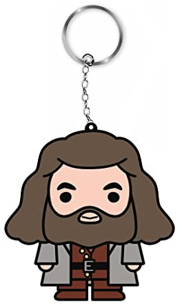 Ert Group Harry Potter 212 Multi Coloured Key Chain, Multi-coloured, Taglia unica