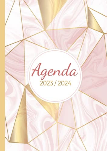 Agenda 2023 2024 semainier: Planificateur hebdomadaire de juin 2023 à décembre 2024 - 18 mois - Français - Marbre rose