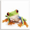 ARTLAND Wanddeko Leinwand Bilder Wandbild Tiere Frosch Natur Zoo Lustig Süß Modern T5WY