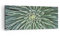 Wandbilder Dekoration Wohnzimmer Agave Grün Pflanze Panorama Bilder auf Leinwand 120x50cm Leinwandbild Schlafzimmer Küche Wand Kunstdruck Art Groß Wanddeko Bild Wall Decor Canvas AB120x50-4905