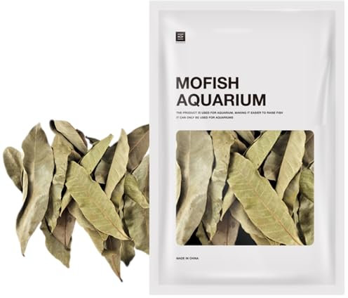 Laubstreu für Terrarium, Longan Fisch ruhen getrocknetes Blatt, schafft heimische Umgebung, Wasseraufbereiter Blätter, pH-Anpassung, Aquarium Laubstreu für Fische und Schildkröten (Grün)