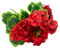 AQCQDQ Faux 9 Kopf Begonie Blume, Geranie Blumen Dekoration Faux UV beständige Geranienbusch, Raumdekoration Bouque Seidenblume for Hochzeit Party Tischdekoration Künstliche Blumen (Rot,2 Stück)