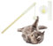 Petriumph® Katzenspielzeug Angel | Katzenspielzeug Interaktiv | Katzenspielzeug Selbstbeschäftigung | Katzenangel und Katzen Intelligenzspielzeug in einem | Katzen Beschäftigung (Weiß-Gelb)