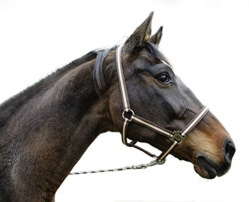 Kerbl Nylonhalfter Hippo, Halfter Nylon Vollblut, Braun/Beige