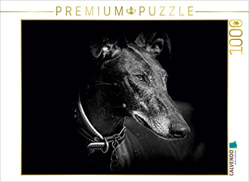 CALVENDO Puzzle EIN Motiv aus dem Kalender Galgo Español 2017 | 1000 Teile Lege-Größe 64 x 48 cm Foto-Puzzle für glückliche Stunden
