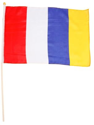Flagge Mainz am Stab 45x30cm