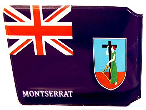 (80+ Designs) Bus Pass Wallet Credit Travel Rail Ticket Card Holder for Oyster Zip Business ID Card - Bifold - Party Bag Gift School Leaver (Montserrat)
