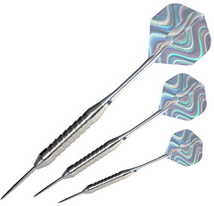 GamePoint 12 Stück Steeldart Dartpfeile SilverShark Shine lose ca. 21g und 1 Satz Flys Gratis