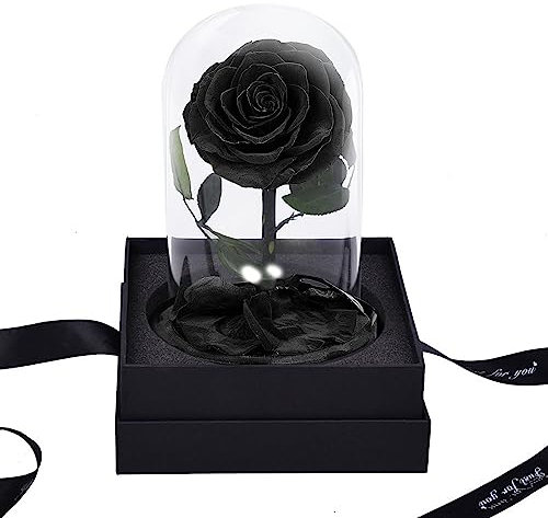 ZHHR Eterno Fiore Piccolo Principe Scatola Regalo in Vetro Rosa Decorazione Fiore Eterno Fiore Essiccato Fidanzata Regalo di Compleanno Festa della Mamma Regalo Rosa Eternal (Nero)