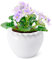 Tbpro Blumentopf aus Keramik mit afrikanischem Veilchen, selbstbewässernd, für Zimmerpflanzen, selbstbewässernd, 16,5 x 11,7 cm, für Zimmerpflanzen, Pflanzenliebhaber, Weiß