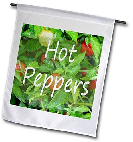 3dRose FL_194404_1 Hot Peppers Text mit Pflanzen Hintergrund Gartenflagge, 30,5 x 45,7 cm