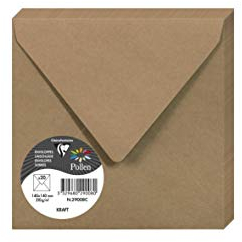 Clairefontaine 29008C Packung mit 20 Umschläge Pollen, 140 x 140mm, 135g, Kraft Natur