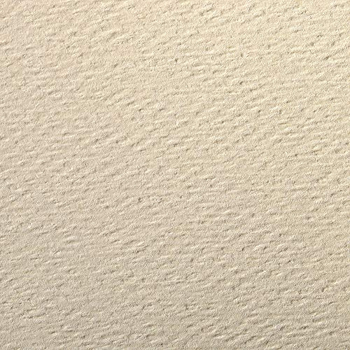 Clairefontaine 93891C Packung (mit 25 Bögen Zeichenpapier Etival Color, DIN A4, 21 x 29,7 cm, 160g, gekörnt, ideal für Trockentechnik und Einrahmen) eierschalenfarbe