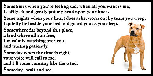 Staffordshire Bull Terrier Staffy Bereavement pet Dog Loss Memorial Flexible Fridge Magnet - Someday