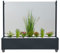 Trendyshop365 Mobiler Windschutz Anthrazit Breite 200cm mit Rollen Klarglasscheibe Eckig Vormontiert Pflanzkasten XXXL