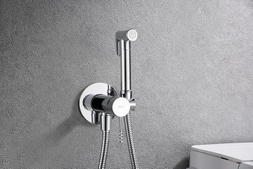 MICE - Grifería monomando empotrada para bidé hecha de latón -Ducha higiénica empotrada y monomando Grifo bidet empotrado Plateado RDG053