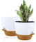 FORAGIFT 25cm Self-Watering Plant Pots Indoor, 2 Pack Large Plastic Plant Pots with Deep Reservior and High Drainage Holes for Indoor Outdoor Plants and Flowers, White with Terracotta