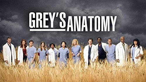 1000-teiliges Puzzle für Erwachsene, Grey's Anatomy, geistige Dekompression, Lernspielzeug, lustiges Familienspiel für Kinder und Erwachsene, 52 x 38 cm